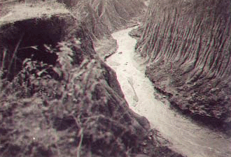 badland'40