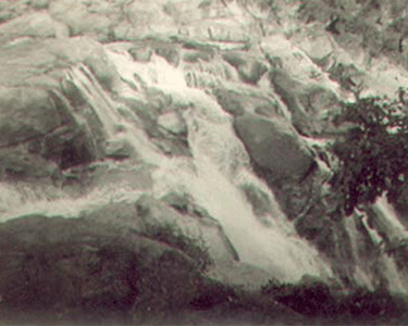 dashamgagbundufalls'40