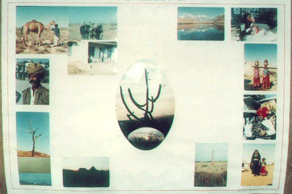 exhibit