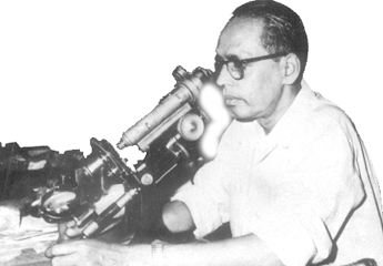 microscope