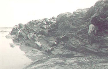 pandraqtzite'40