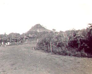 ranchihill'40