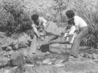BSc.'69